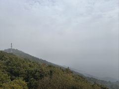 -紫金山山顶公园