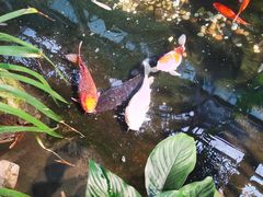 -聚缘堂·海鲜私房菜(松岭路店)