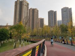 -府河摄影公园