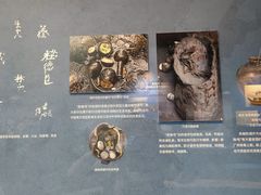 -南越王博物院(王宫展区)