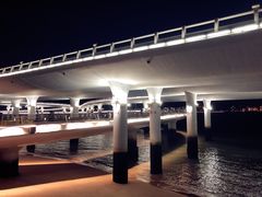 -演武大桥观景平台