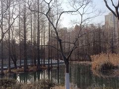 -白塘生态植物园