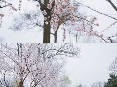 -三里河公园