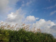 鹅銮鼻公园-鹅銮鼻公园