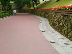 -金鸡山公园