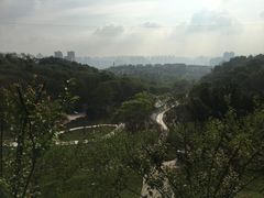 -渣滓洞