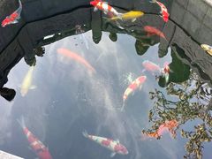 -西安市广仁寺