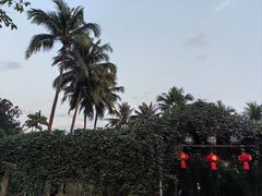 -中国科学院西双版纳热带植物园