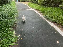 -尚贤河湿地