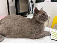 -佳雯宠物医院(四明中路分院)