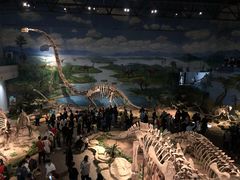 -自贡恐龙博物馆