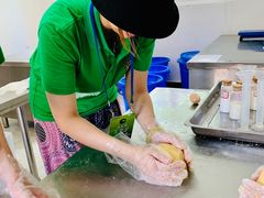 -中国大熊猫保护研究中心雅安碧峰峡基地