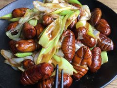 -潮庭·大连海鲜·炭火烧烤·扇贝王(大连店)