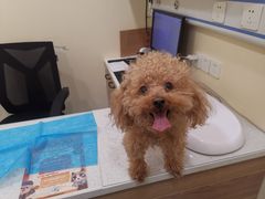 -萌兽医馆·犬猫专科·眼科中心·宠物医院(朝阳门分院)