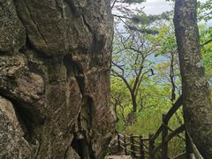 -王顺山国家森林公园