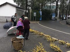 -重庆抗战遗址博物馆