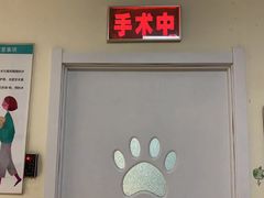 -瑞派宠物医院·24小时骨科·心脏·核磁(哈尔滨南岗店)