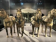 -秦始皇帝陵博物院-丽山园