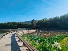 -紫金山山顶公园