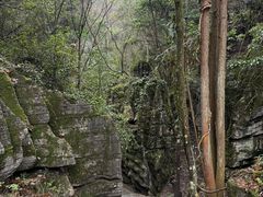 -梭布垭石林景区