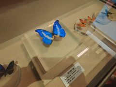 -青藏高原自然博物馆