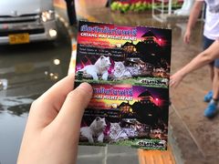 门票-清迈夜间动物园