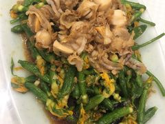 黄瓜苗拌扇贝-双井轩(双井店)