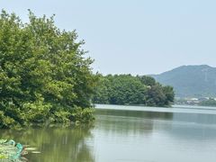 -湘湖大院(越王路店)