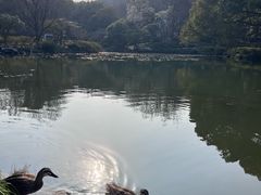 -杭州植物园