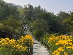 -快活林烧烤(红新路店)