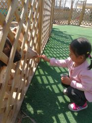 -萌宠亲子动物乐园(槐房万达店)