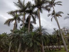 -人民公园(罗湖区)