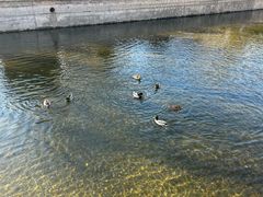 -元大都城垣遗址公园