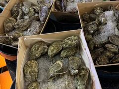 -斯普汇生蚝牛排馆(中骏世界城店)