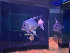 -欢乐海岸海洋奇梦馆