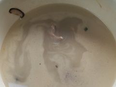 -花悦农庄 | 烧鸡·竹筒饭(沙迳高沙温泉香溪堡店)