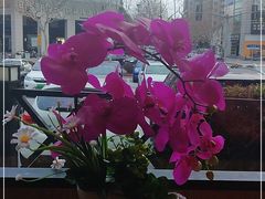-纽斯桑拿会所(东绣路店)