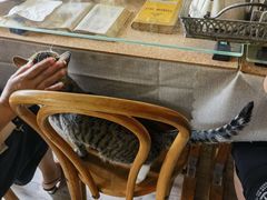 -海边的猫和咖啡馆