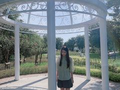 -鹅湖玫瑰文化园