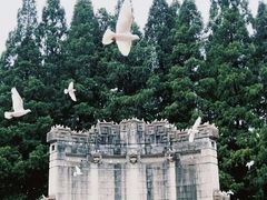-音乐台