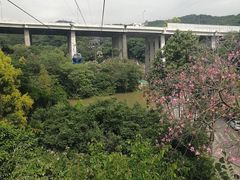 -白云山索道-售票处