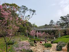 -狐尾山公园