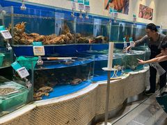 水产区-7fresh七鲜(大族广场店)