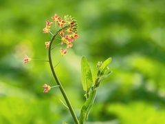 -中国天府农业博览园