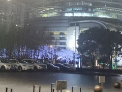 -上海柏悦酒店
