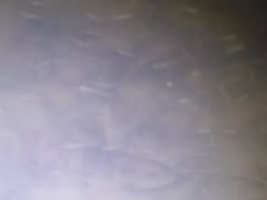 -扬州古运河