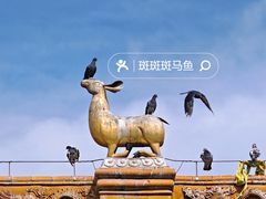 -席力图召
