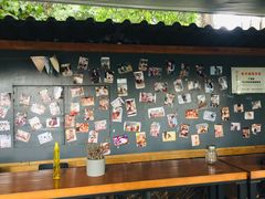 -柴犬高等学院·狗咖·柴犬售卖·宠物训练