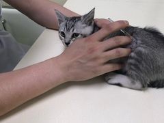 -宠颐生中康贝怡动物医院