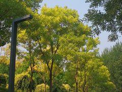 -东郊湿地公园